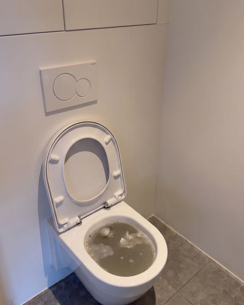 Blocked toilet, the bowl full of dirty water, before the job.